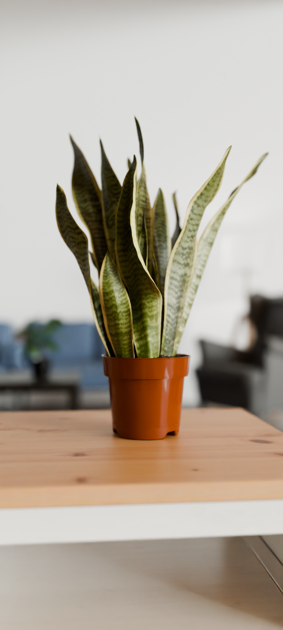 A 3D render of a plant in a big room